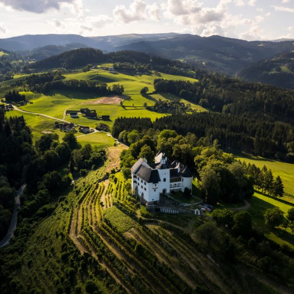 Schloss Thürn im Lavanttal aus der Luftperspektive